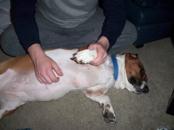 description of image