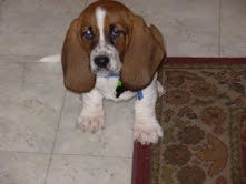 description of image