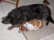 description of image