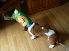 description of image